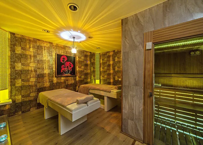 آرتس تقسيم فندق 4*