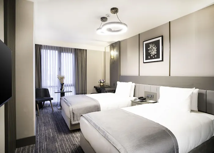 فندق آرتس تقسيم