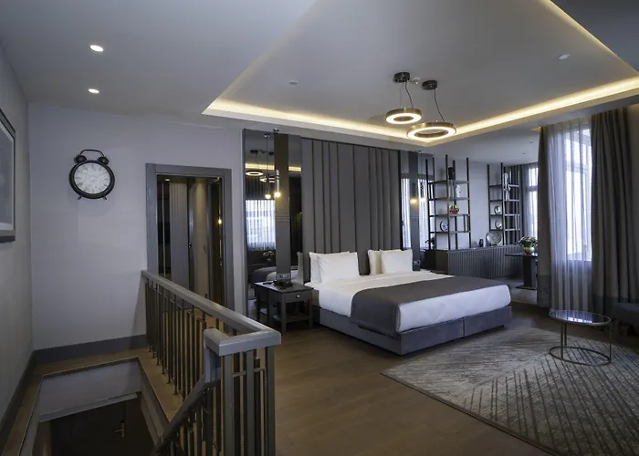 آرتس تقسيم فندق اسطنبول