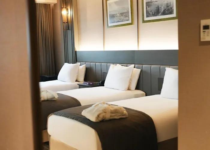 آرتس تقسيم فندق اسطنبول